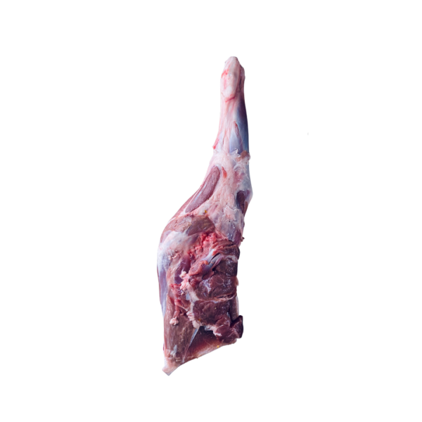 Buy Mutton Shoulder/Dasti Online