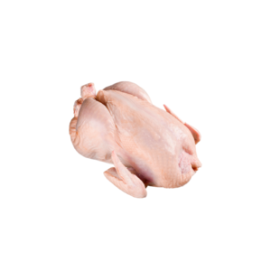 Desi Chicken